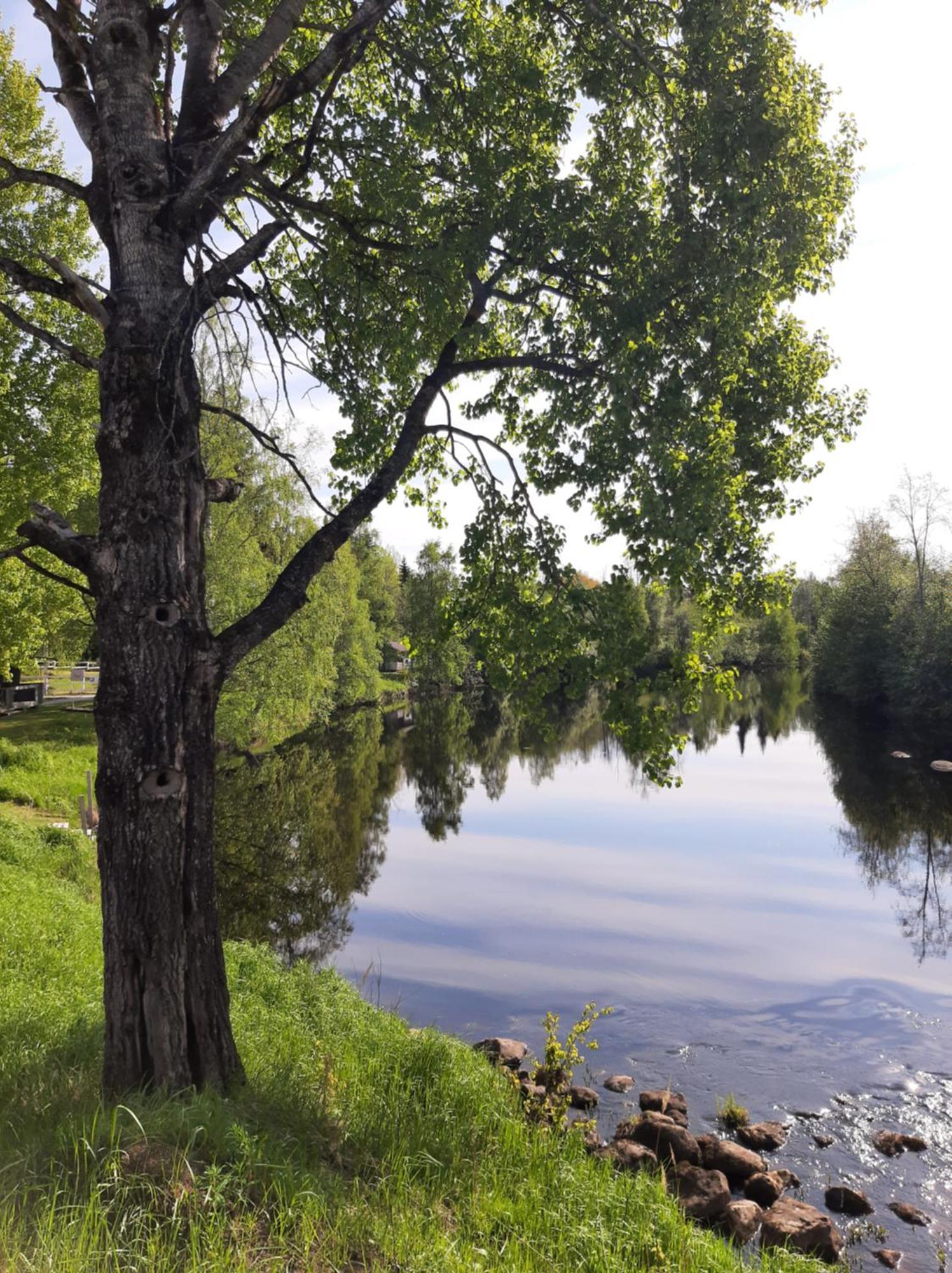 Hotel Huhtaniemen Moekkikylae Veteli Esterno foto